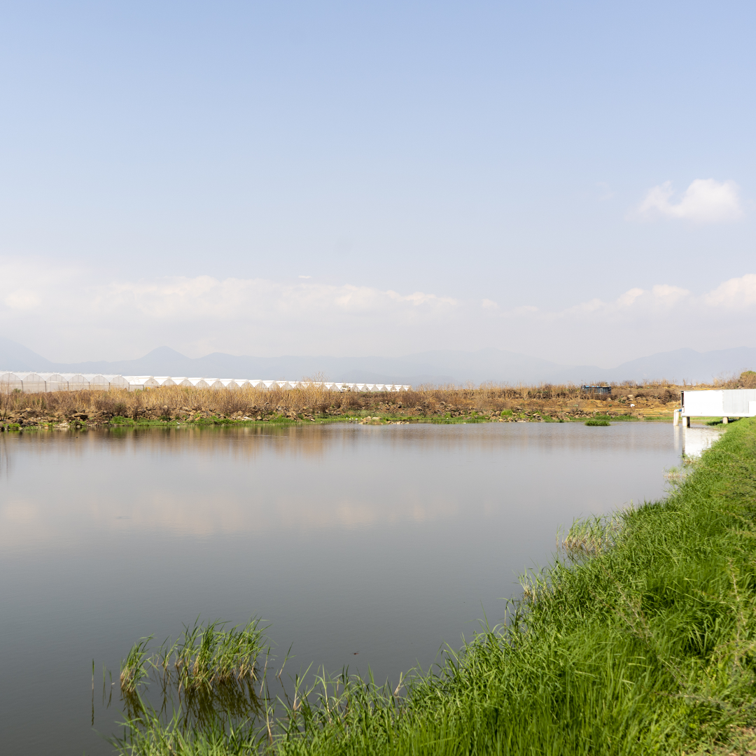 RESERVORIO